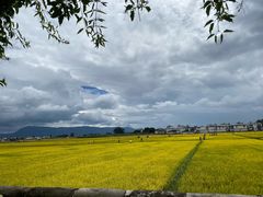 -喜林苑·稻田餐厅(品相府店)