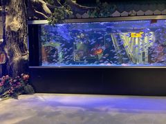 -木子塘汗蒸生活馆(财富港店)