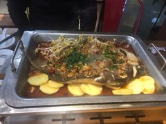 -黑猫馋纸包鱼(阳光店)
