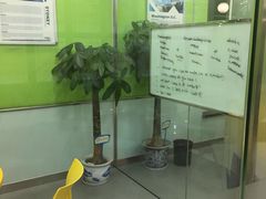 -美联英语(绿宝中心)