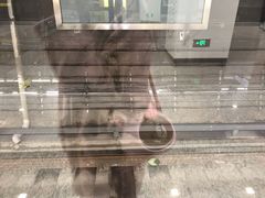 -CGV影城(源著IMAX店)