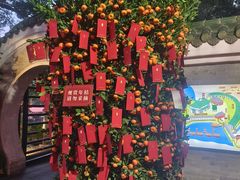 -侨美·唐荔园·40年地道粤菜