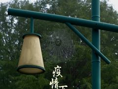 -同里国家湿地公园