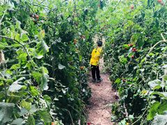 -万源龙顺度假庄园生态观光园