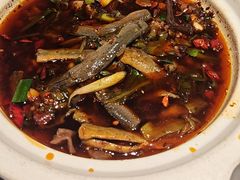 -情妹耙泥鳅·江湖川菜(科华店)