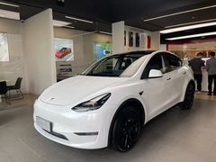 -TESLA 特斯拉(郑州正弘城体验店)