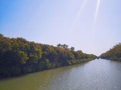 -大湾区中央湿地公园