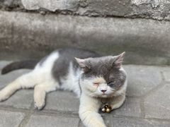 -山城巷传统风貌区