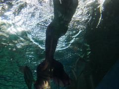 -北戴河圣蓝海洋公园
