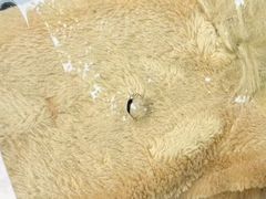 -鲨鱼皮汽车凹陷玻璃修复(静安店)