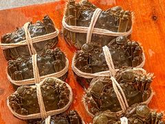 -阳澄湖大闸蟹·琼灵阁牌品牌连锁(吴中总店)