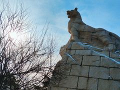 -帽儿山国家森林公园