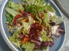 -朱记乳鸽王·非遗石岐乳鸽·全鸽宴(大兴旗舰店)