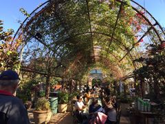 景观位-The Grounds of Alexandria