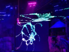 -芜湖新华联大白鲸海洋公园