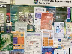 -香港大学
