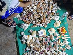 -青岛第三海水浴场