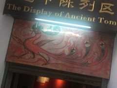 -洛阳古墓博物馆