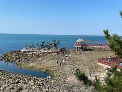 -养马岛旅游度假区