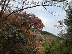 -北京西山国家森林公园