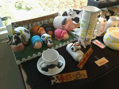 android_upload_pic-瑞穗牧场