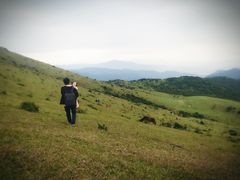 -大姆山草场