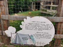 -田园东方蜜桃村的田野营地