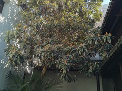 -南京市民俗博物馆(甘熙故居)
