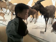 -陕西自然博物馆