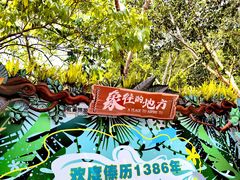 -野象谷景区