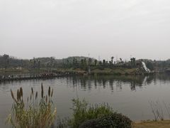 -枫香湖儿童公园