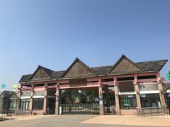 -上海都市菜园