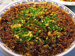 来凤鱼-新概念来凤鱼(璧山店)