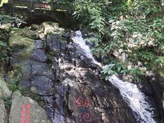 -莫干山风景区