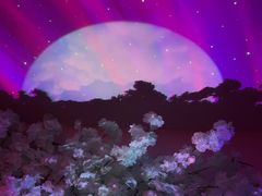 -享纯·私密·男士日式SPA