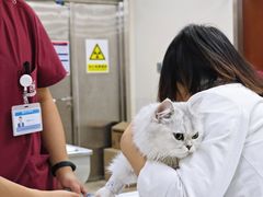 -美联众合动物医院·24h转诊中心