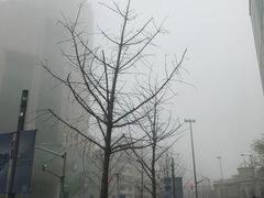 -热带雨林汗蒸馆(汶水东路店)