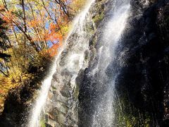 -望天鹅景区