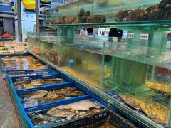 -望海湾海鲜楼·海鲜(河南路店)
