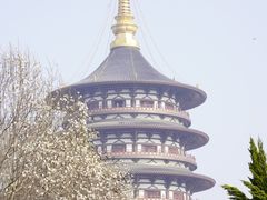 -隋唐洛阳城明堂天堂景区