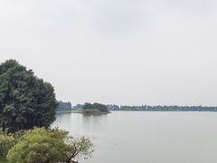 -贡湖湾湿地公园