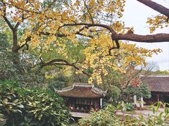 -秋霞圃