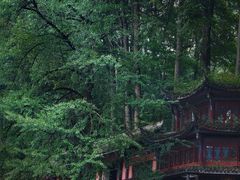-青城山