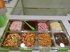 自助取餐区-Salud撒露欧洲冻酸奶(蓝色港湾店)