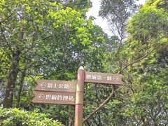 -梧桐山风景名胜区