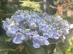 -大妙火锅·非物质文化遗产(东湖公园店)