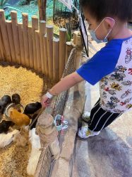 -酷嗒动物文化乐园(cutezoo西溪乐天城店)