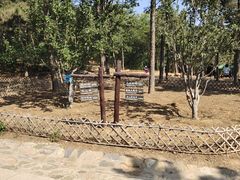 -北京西山国家森林公园