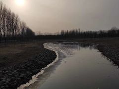 -东郊湿地公园