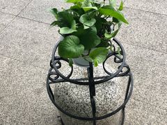 -郑州新郑国际机场T2航站楼-贵宾厅B区